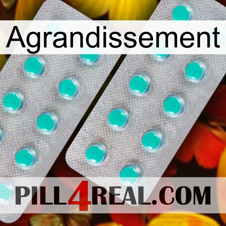 Enlargenexx 29